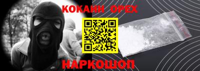 спиды Гай
