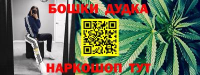 прущие грибы Гатчина