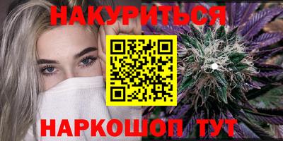 спиды Гай