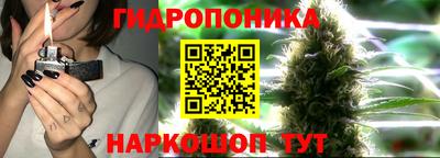 прущие грибы Гатчина