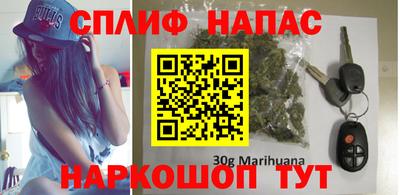 прущие грибы Гатчина