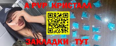 прущие грибы Гатчина