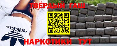 спиды Гай