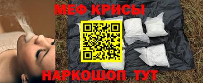 прущие грибы Гатчина