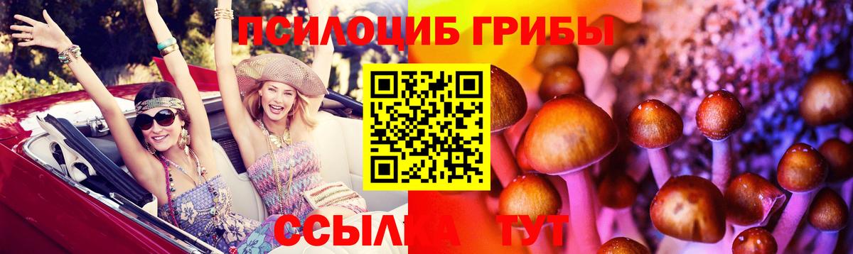где найти   Вход с VPN  Камень-на-Оби  Галлюциногенные грибы мицелий 